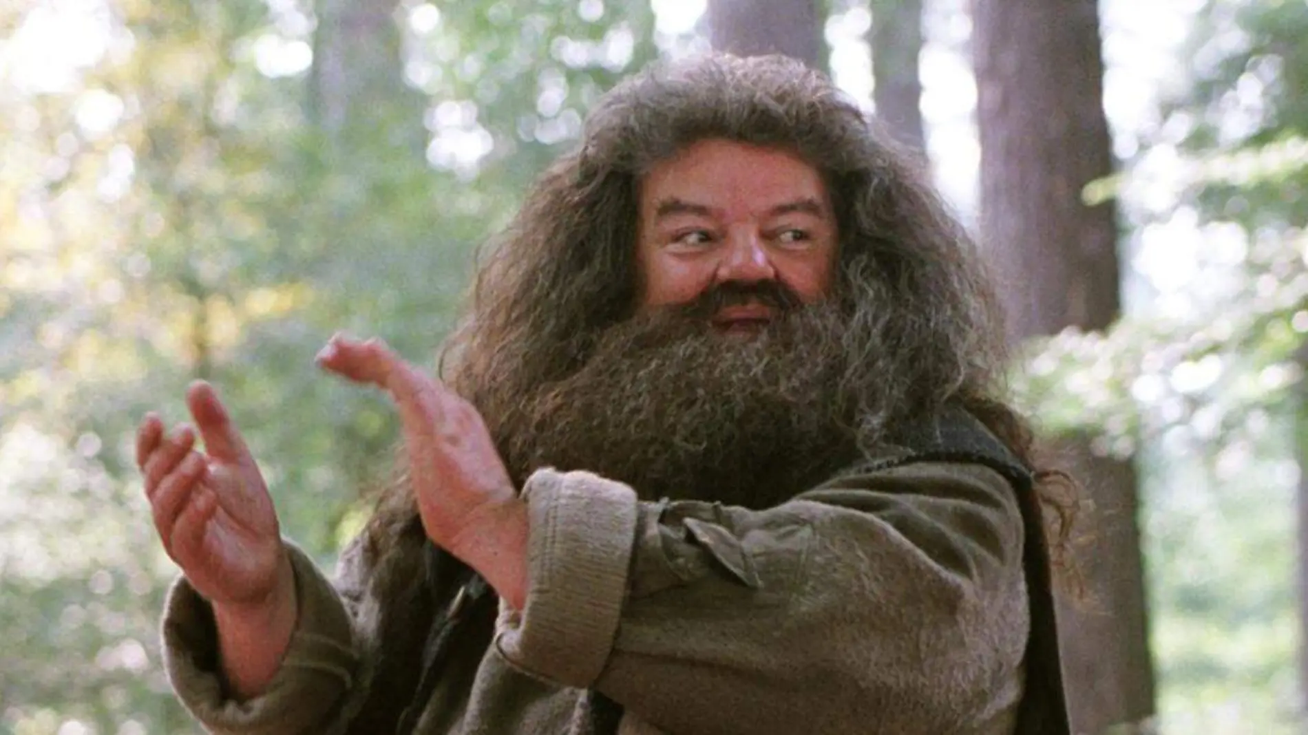 El mundo mágico de Harry Potter está de luto, pues este viernes se dio a conocer la muerte del actor Robbie Coltrane, mejor conocido como Hagrid